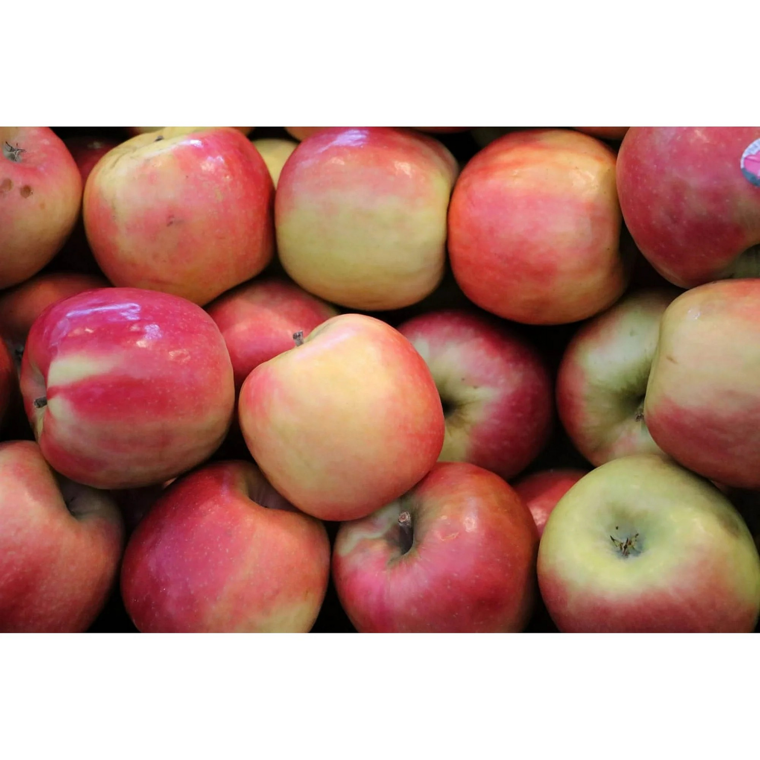 Fresh Pink Lady Apples, 3lb Bag
