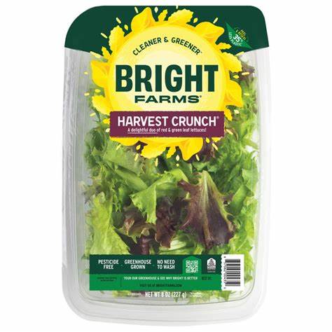 Bright Farms Salad Blend, 4oz Clam Shell