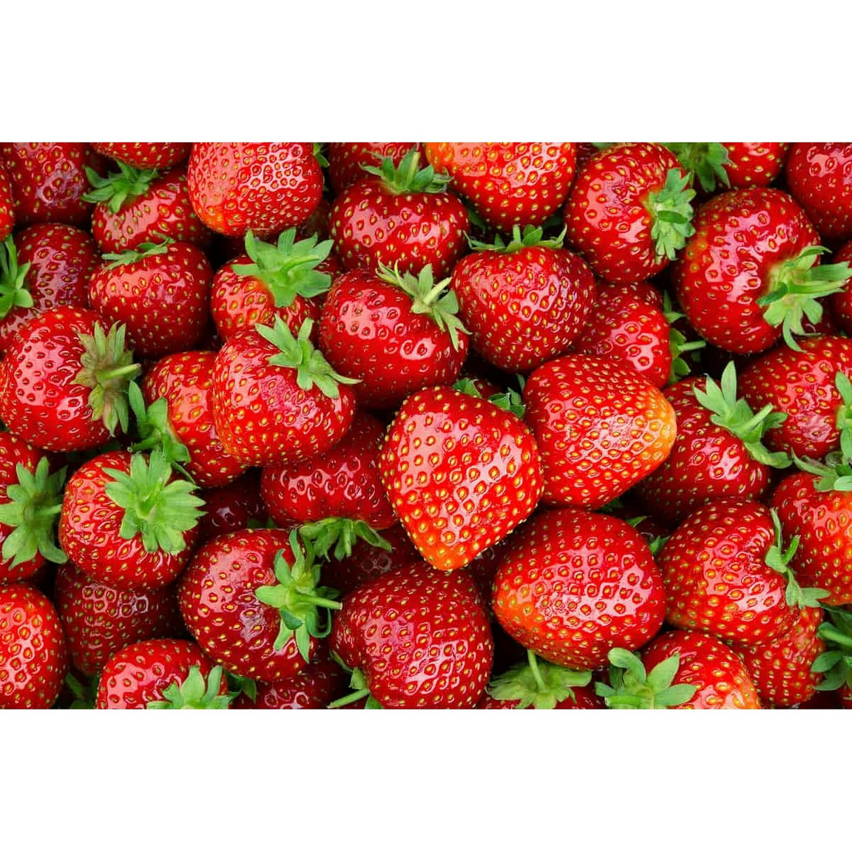 Fresh Strawberries, 2 lbs