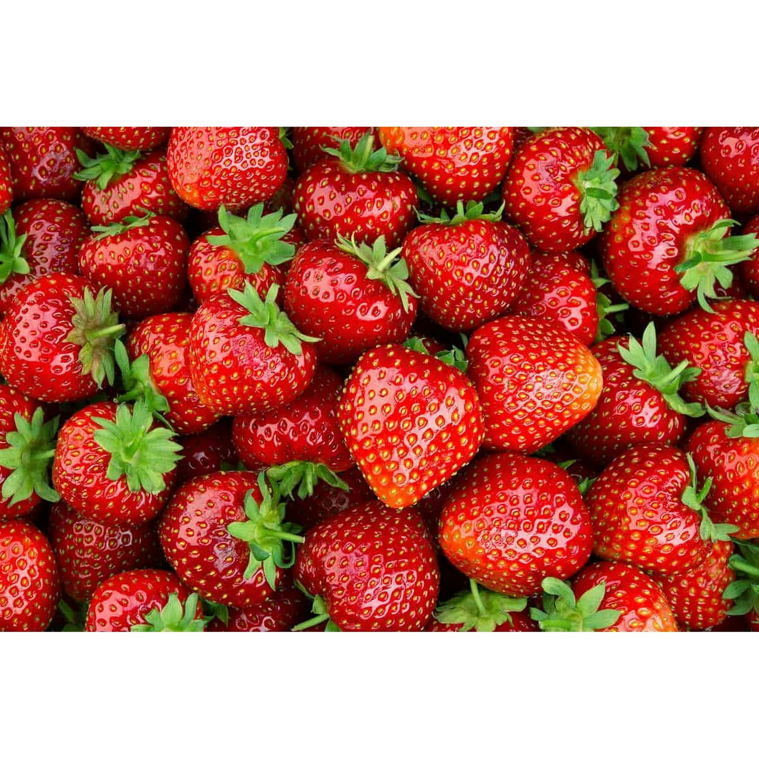Fresh Strawberries, 2 lbs