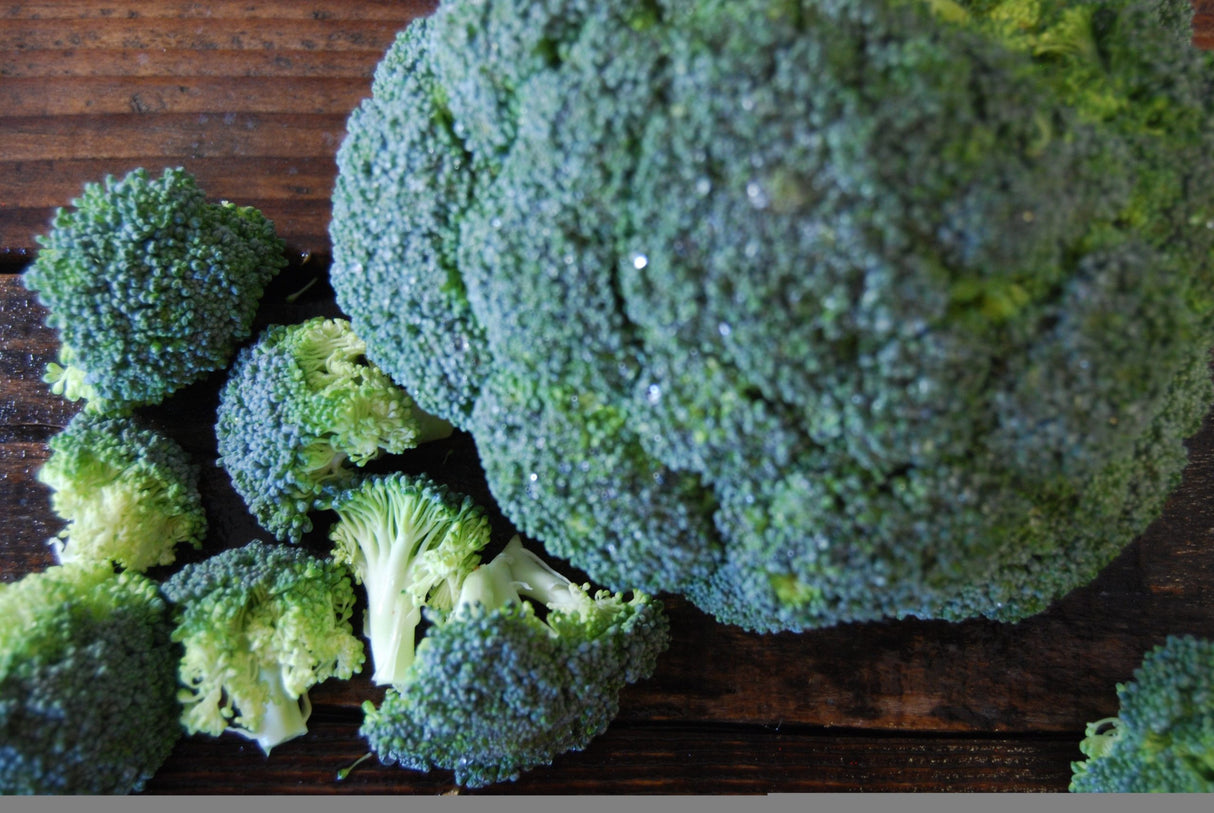 Organic Broccoli - 1LB