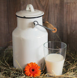 ShopGT Fresh: Meyenberg Goat Milk(1 Quart)