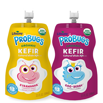Lifeway Probugs Organic Kefir, 3.5 Ounce, 4-Pack